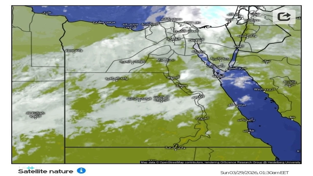 أمطار غزيرة تضرب مناطق متفرقة في القاهرة خلال الساعات القليلة الماضية